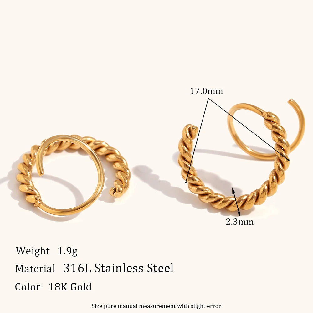 Twisty Earrings