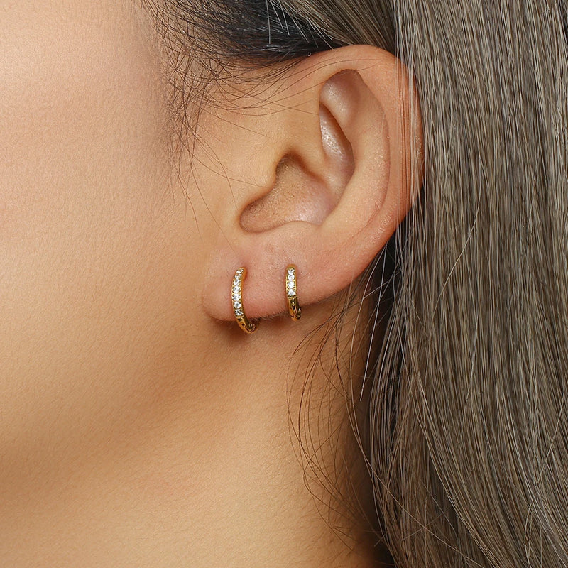 Shiny Earrings